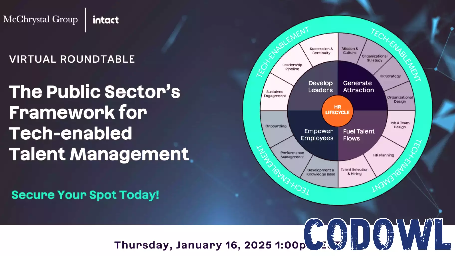 Addressing Talent Challenges in the Public Sector: A Virtual Roundtable