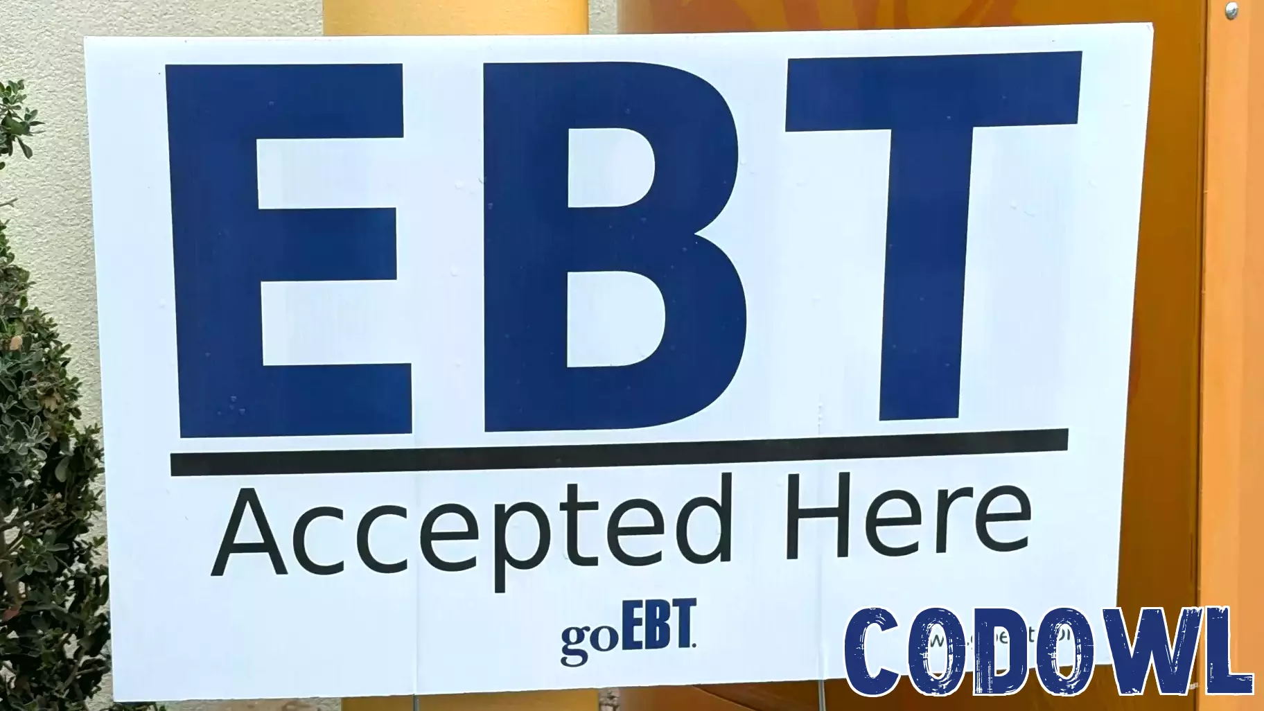 Advocate says outdated technology is partly to blame for Arizona's drastic drop in SNAP recipients