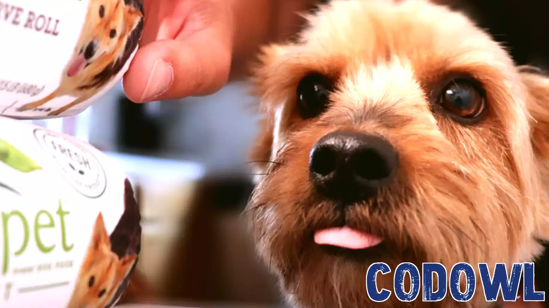 Align Technology's Valuation Boosted by Invisalign Launch in the Philippines