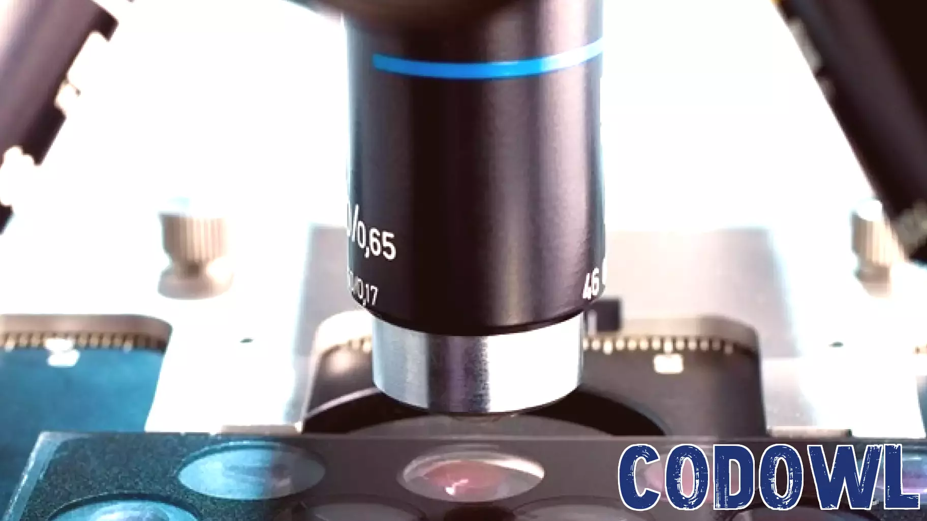 Breakthrough Technology for Scalable Production of Human Kidney Organoids