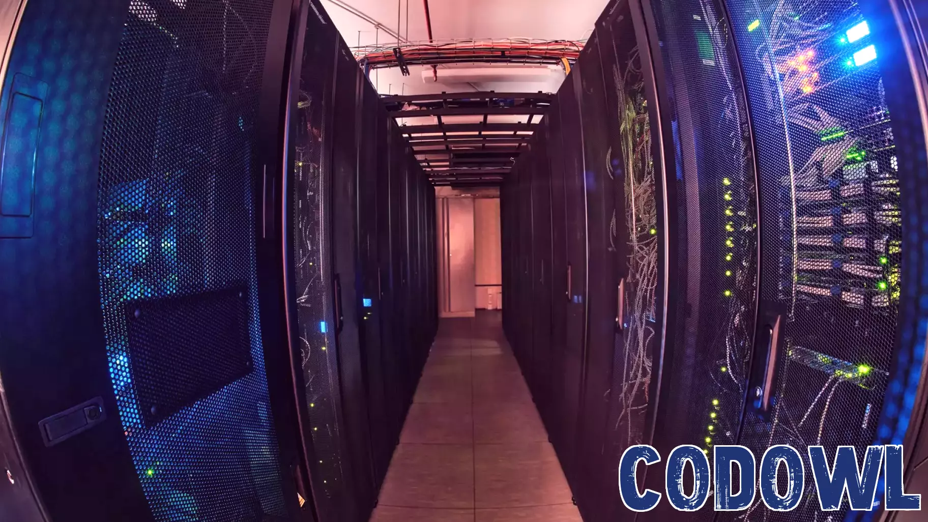 Can Micron Technology Stock Avoid a Future Collapse?