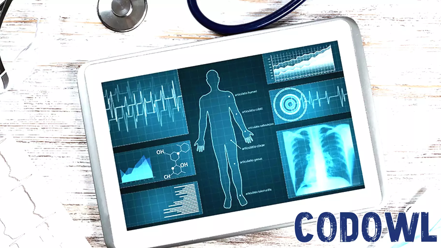 CitiusTech Celebrates Two Decades of Advancements in Health Care Technology