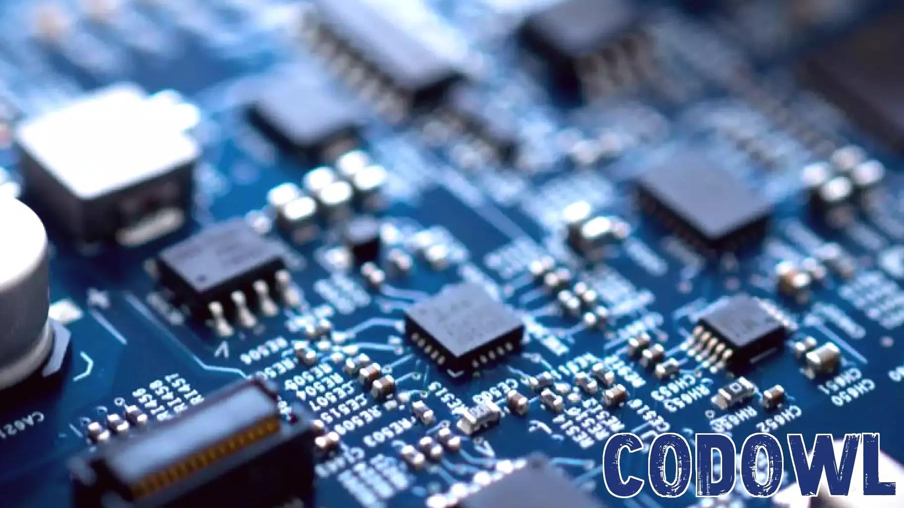 Credo Technology Group Holding (CRDO) Faces A Valuation Test As Growth Momentum Cools