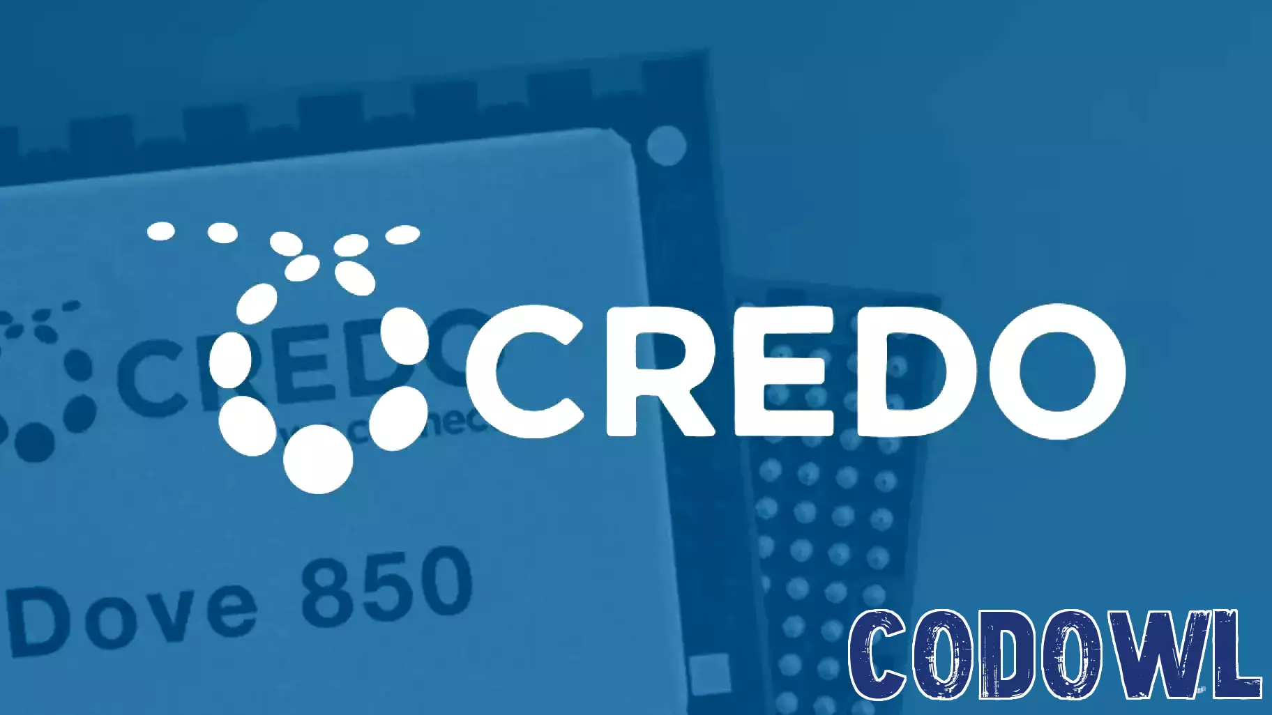 Credo Technology's Next Three Years: Growth Hinges on Key Customers
