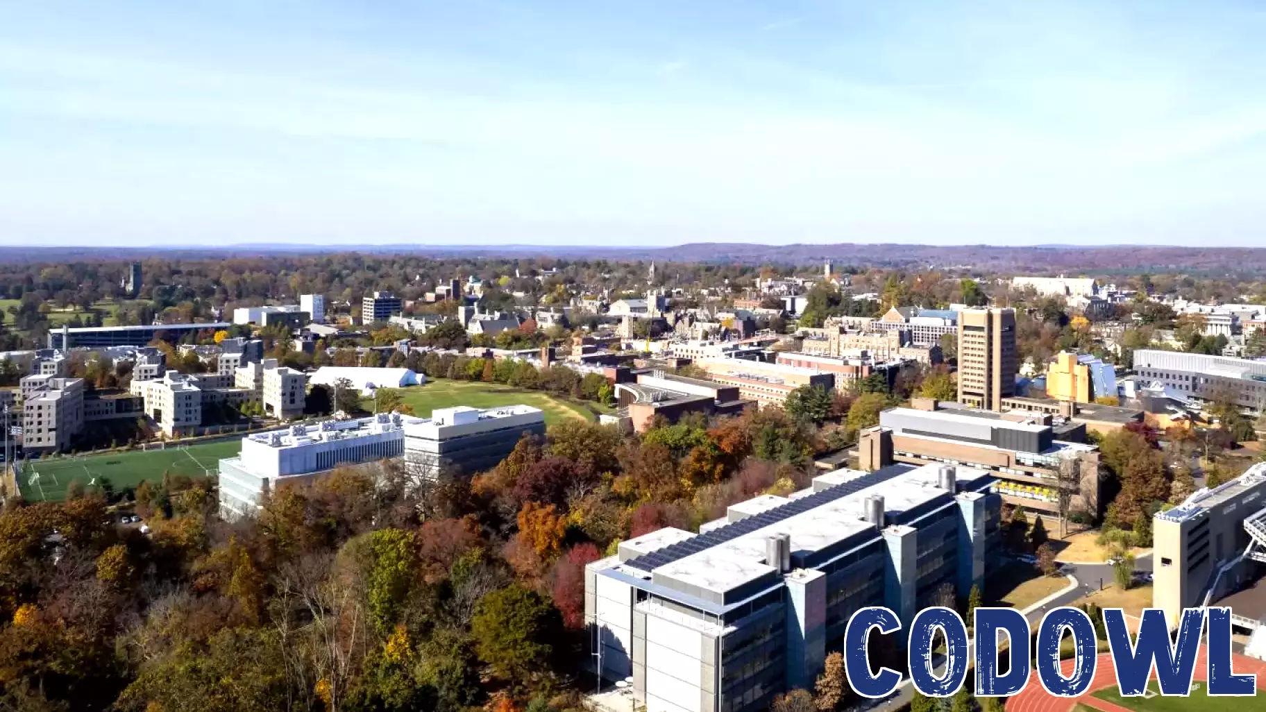 Four Groundbreaking Initiatives Chosen for 2025 Schmidt Transformative Technology Fund