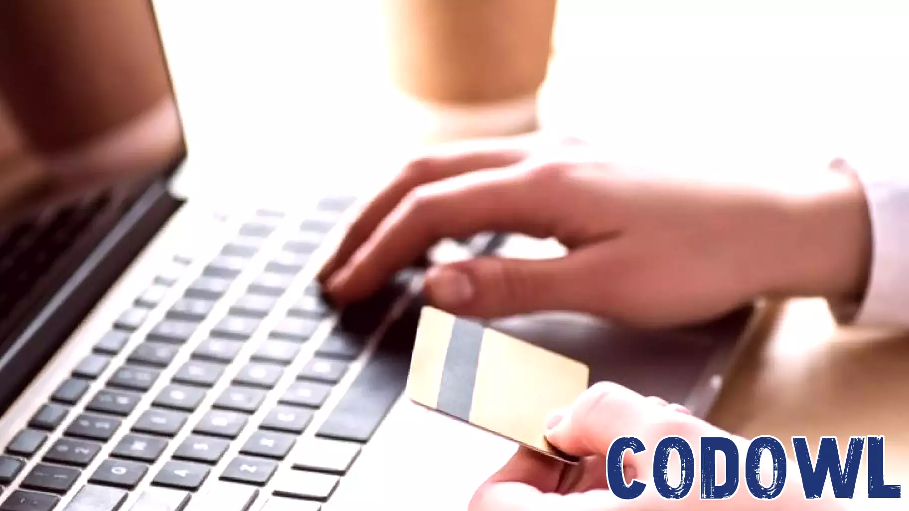 GigaCloud Technology Reports Strong Earnings, Sparking Investor Optimism