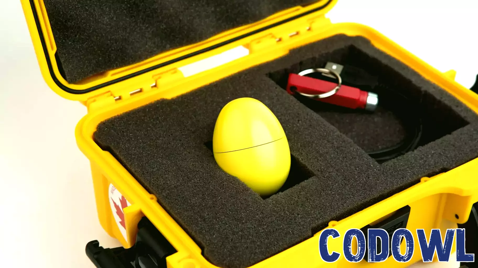 Innovative Sensor Technology Aims to Minimize Egg Breakage in Processing