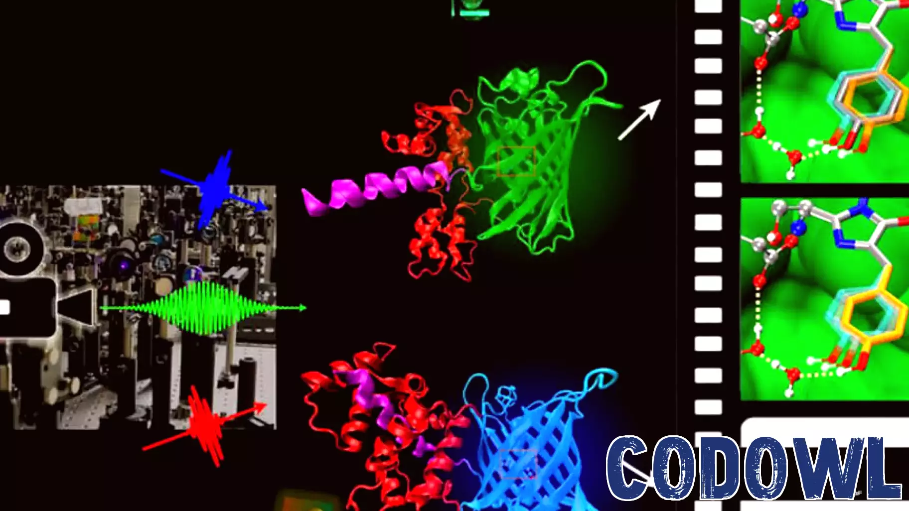 ‘Molecular movie’ technology reveals a better way to thwart environmental pollutant