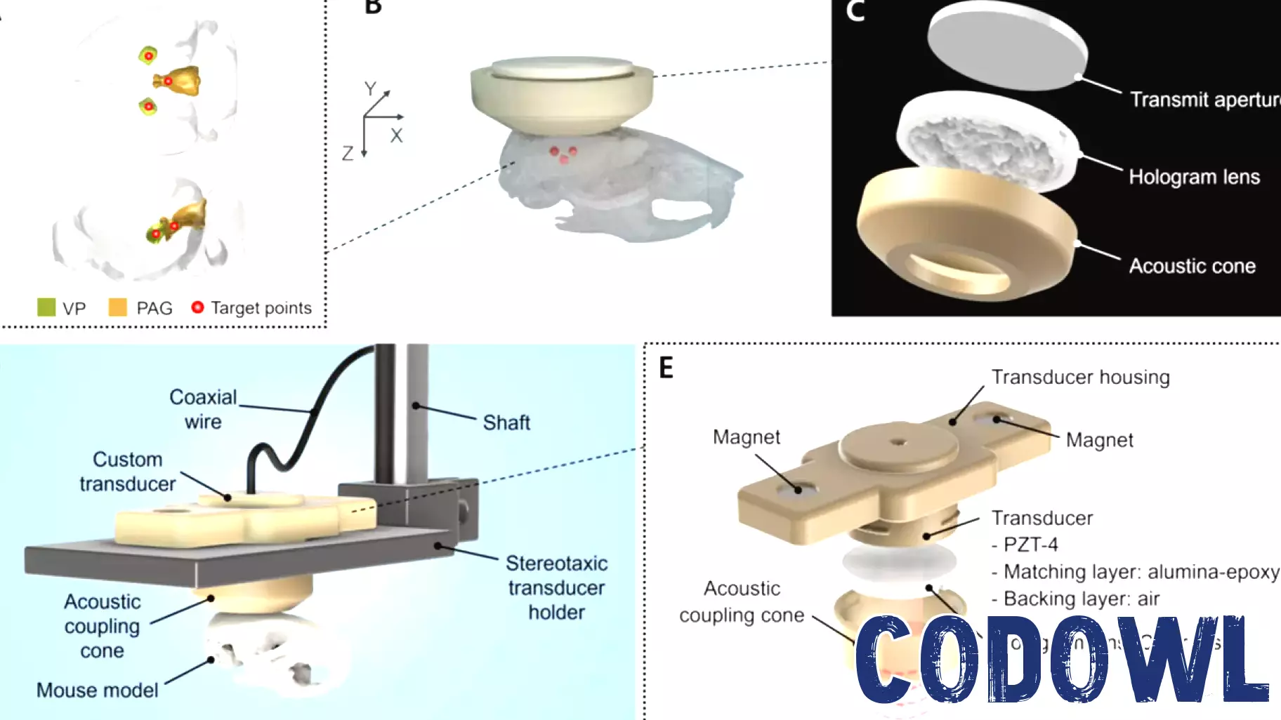 Researchers develop AI-based brain stimulation hologram technology
