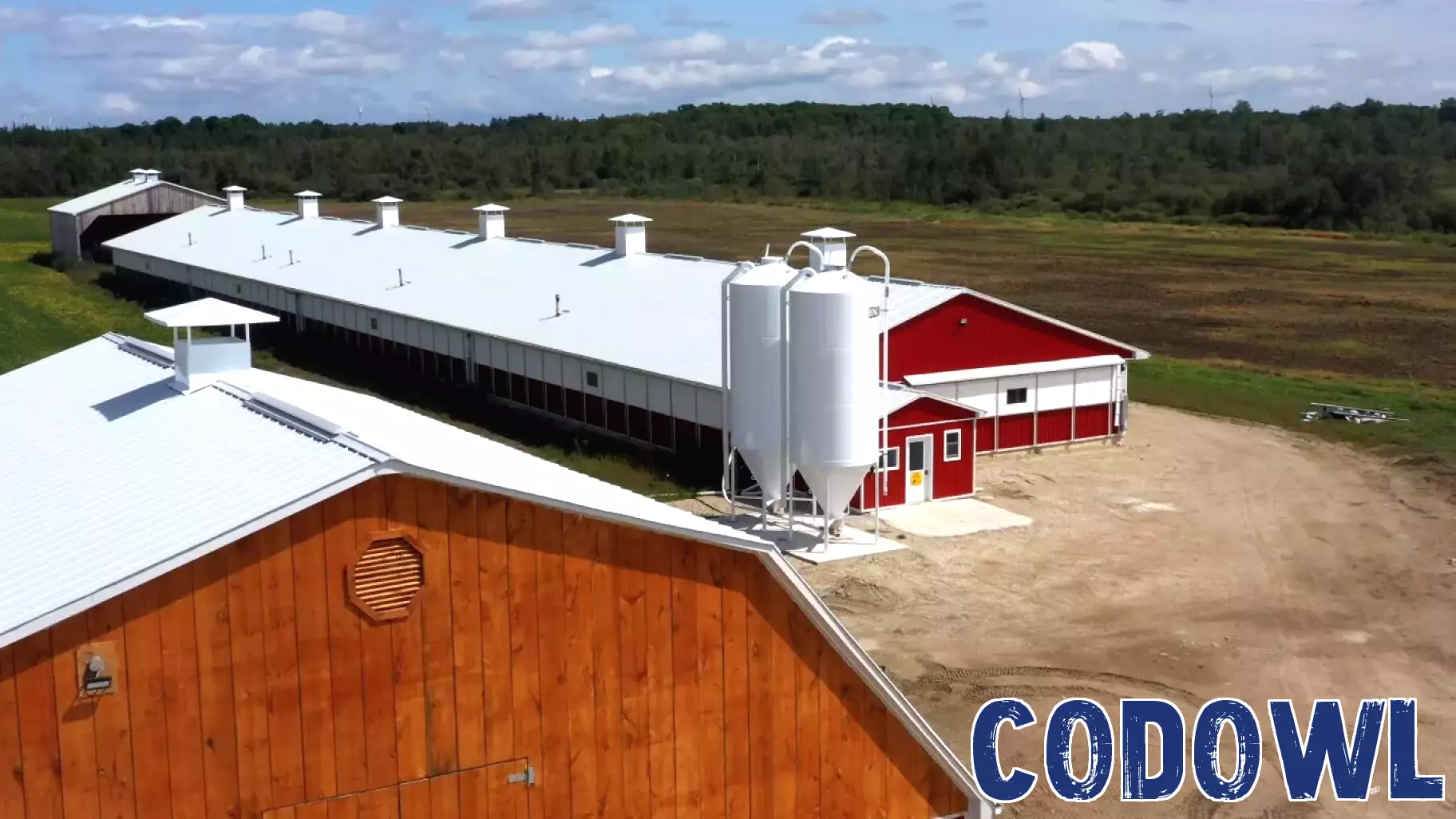Revolutionizing Animal Agriculture: The Rise of Smart Bin Technology