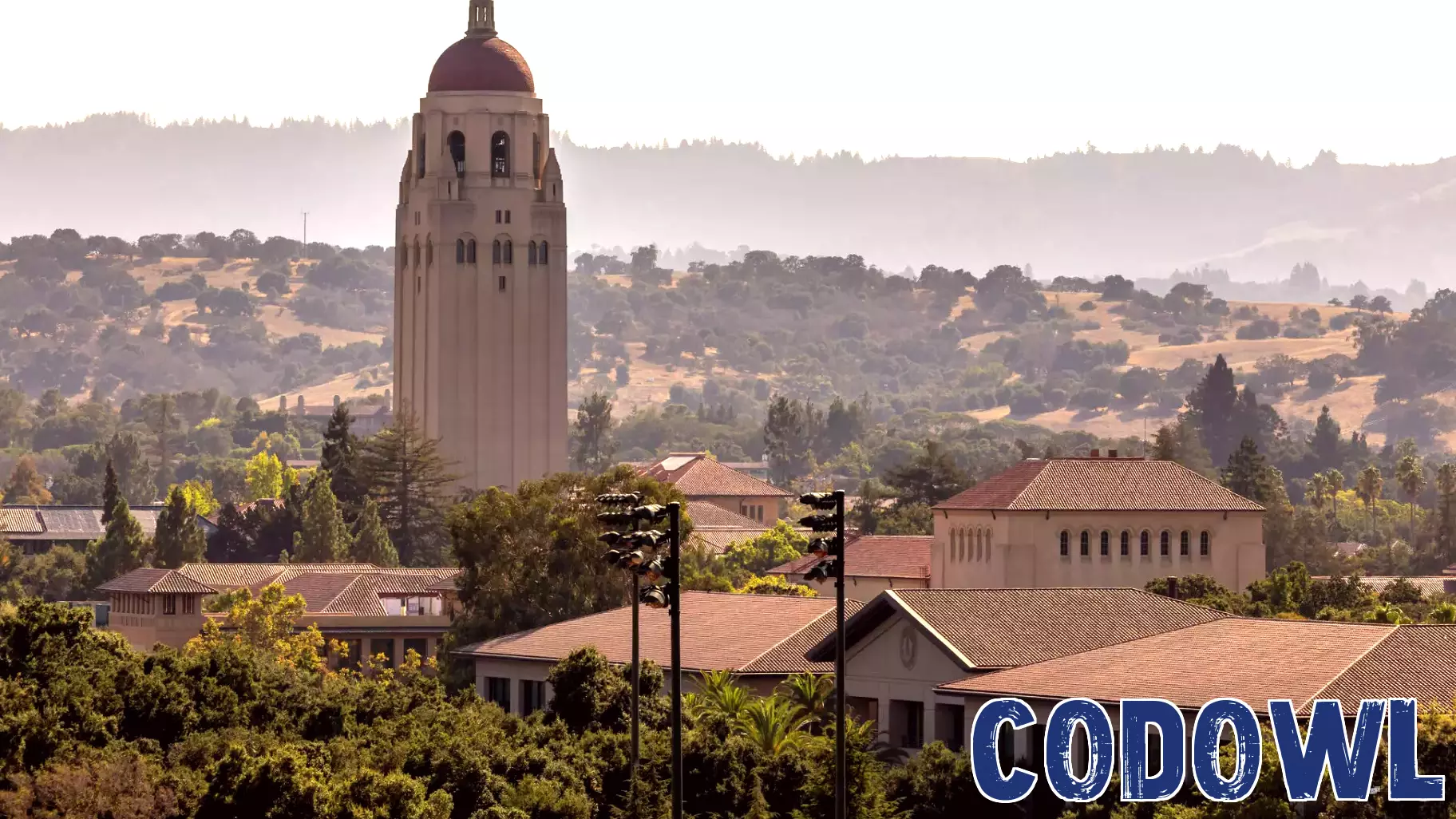 Stanford Expert Faces Allegations of Misrepresentation in Tech Discussion