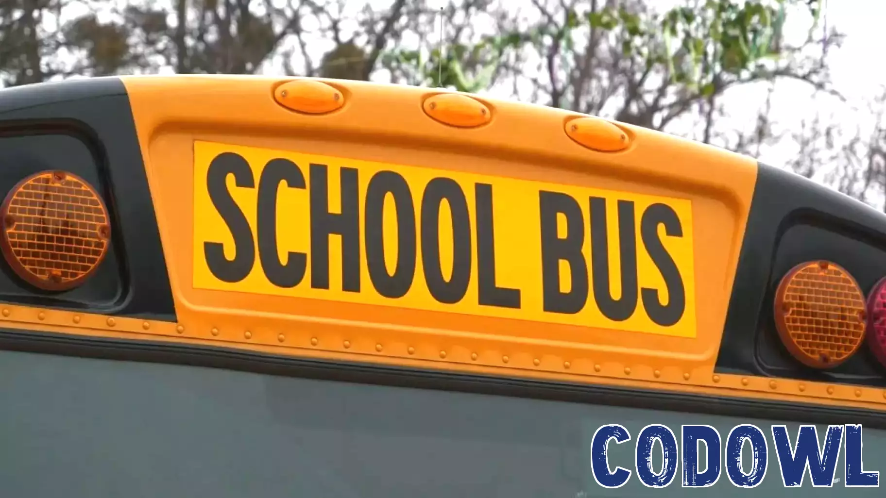 Tennessee Lawmakers Consider Classroom Technology Ban for Youngest Students