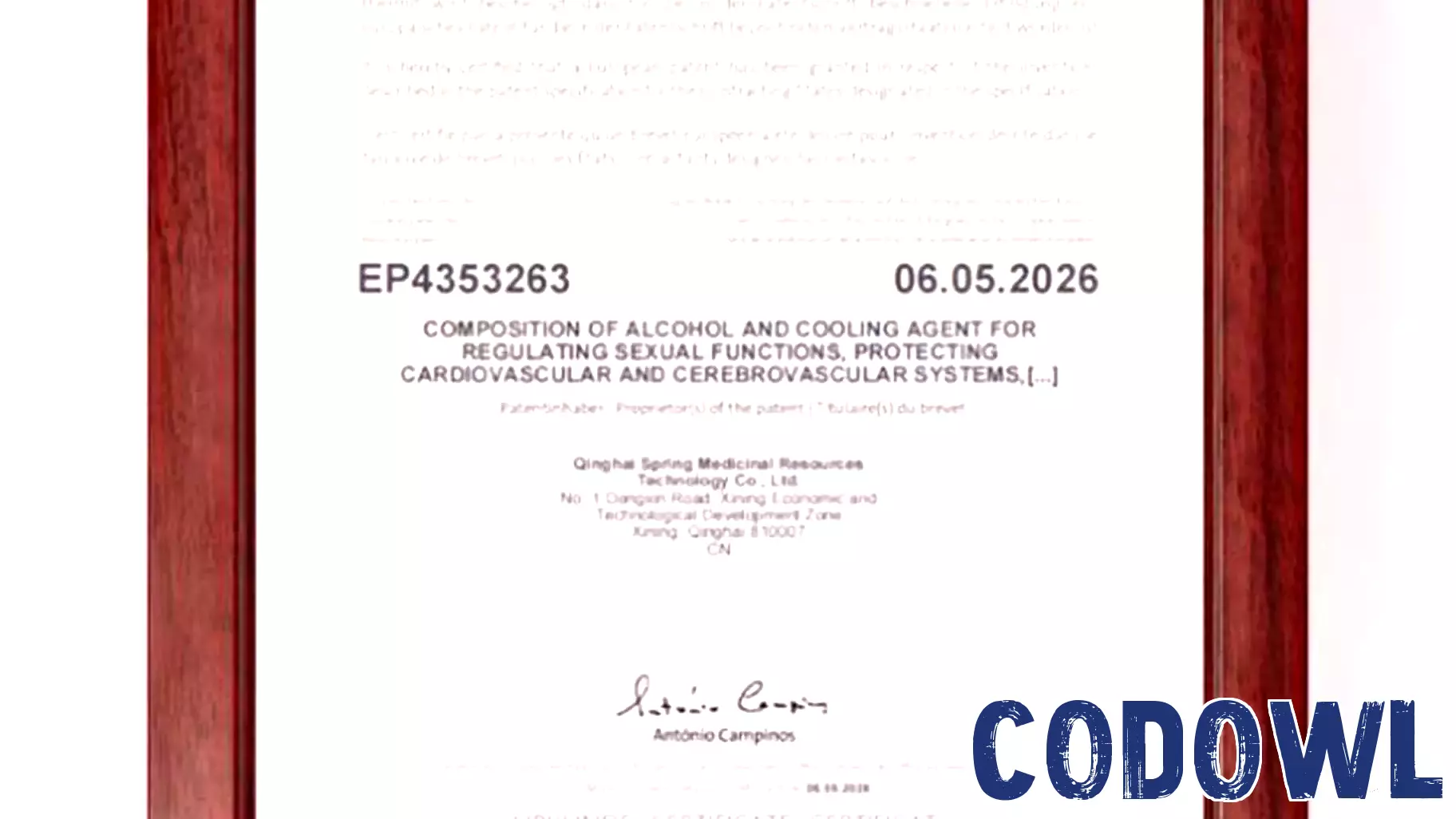 Tinghua Liquor’s Innovative Technology Receives Patent Recognition in Europe and the United States