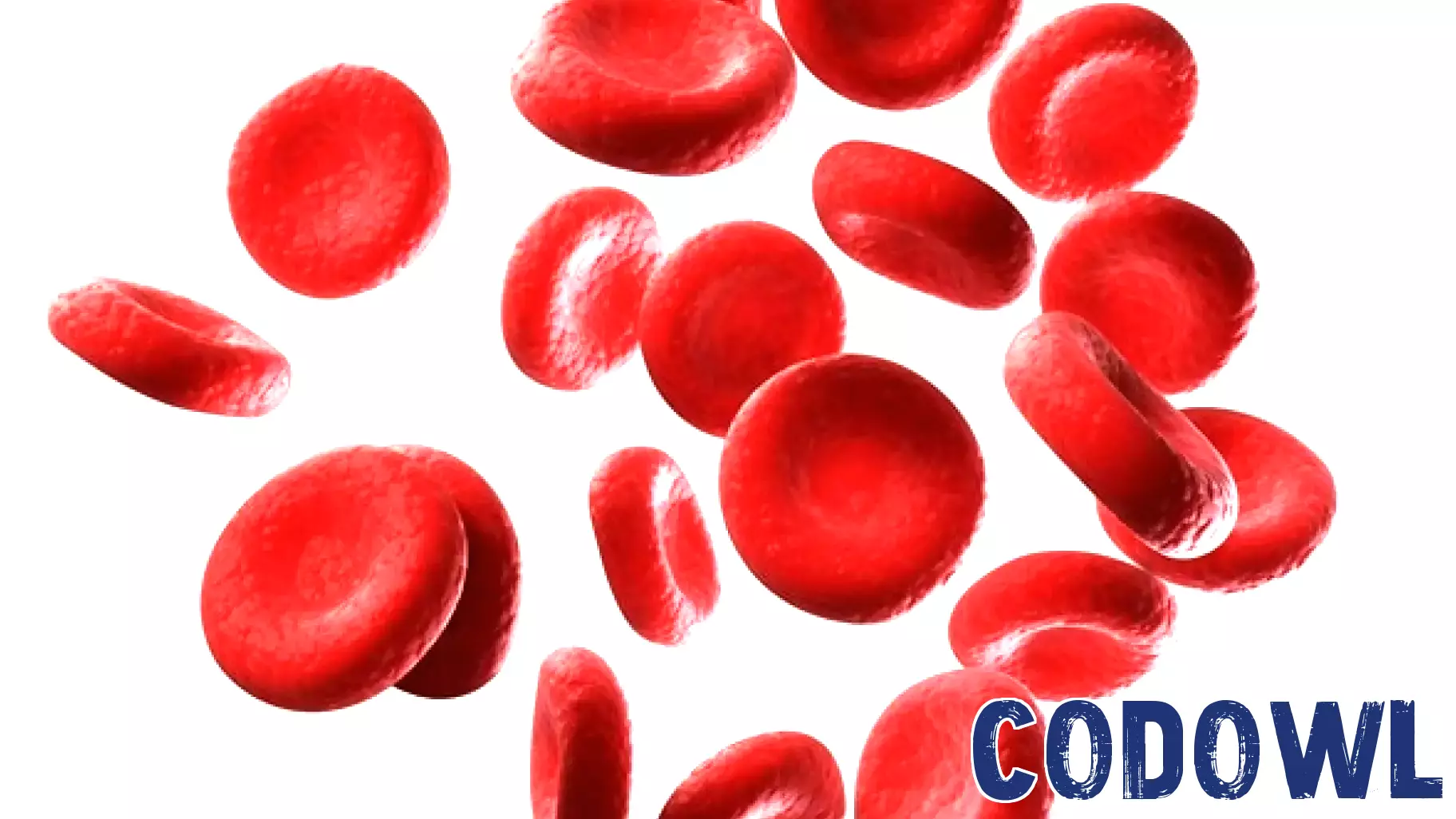 Transforming Blood Diagnostics with Innovative QPM Technology