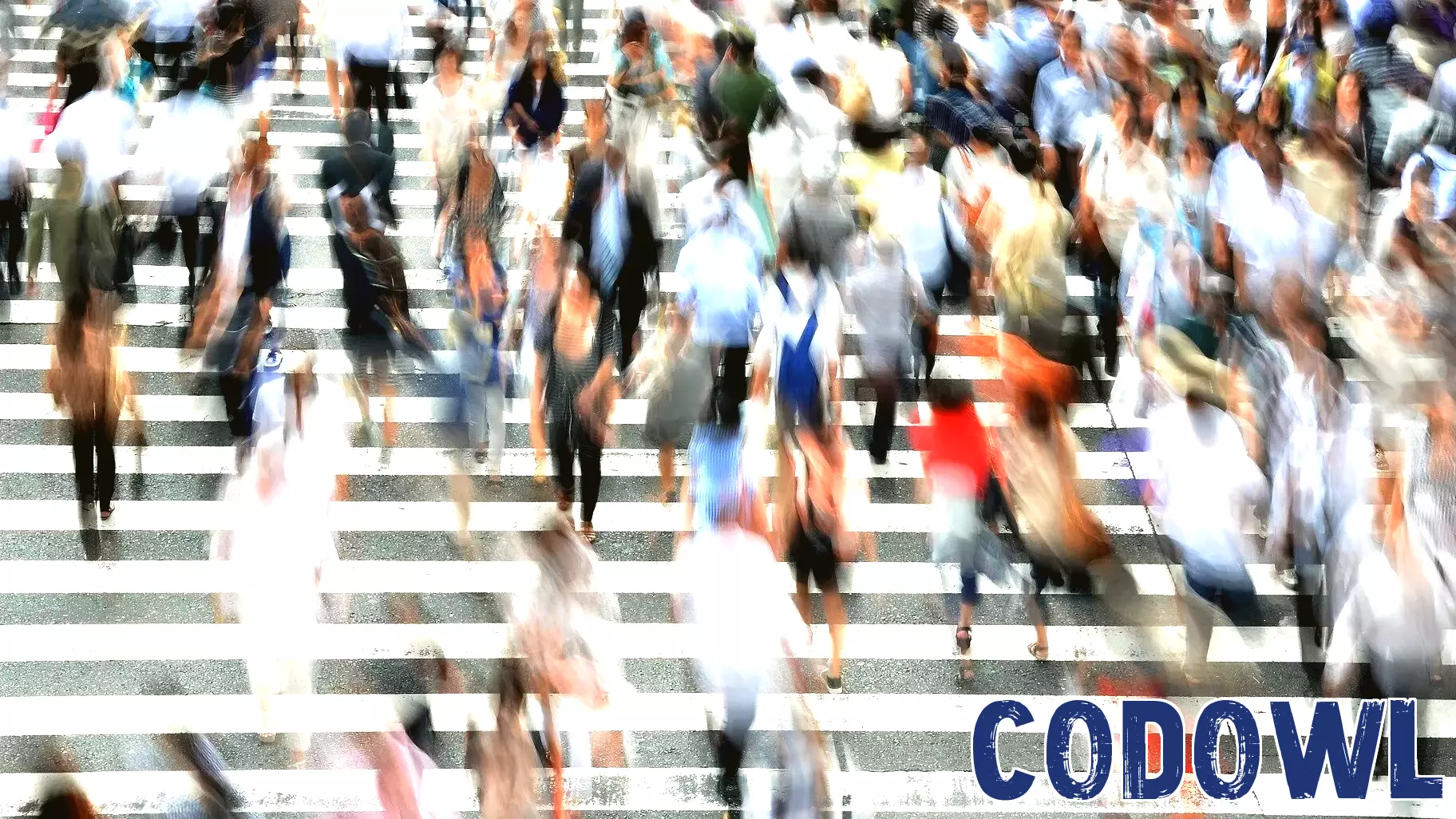 What is public interest technology? An expert on data and policy explains how it helps people in need