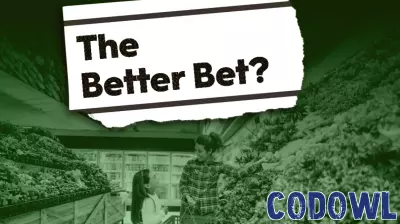 BigBear.ai and Innodata: Picking the Better Tech Stock for 2026