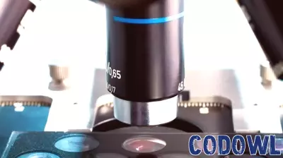 Breakthrough Technology for Scalable Production of Human Kidney Organoids