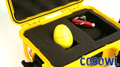 Innovative Sensor Technology Aims to Minimize Egg Breakage in Processing