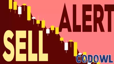 Insider Trading Alert: Significant Share Sale by GigaCloud Technology's COO