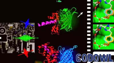 ‘Molecular movie’ technology reveals a better way to thwart environmental pollutant