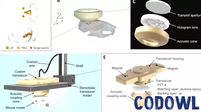 Researchers develop AI-based brain stimulation hologram technology