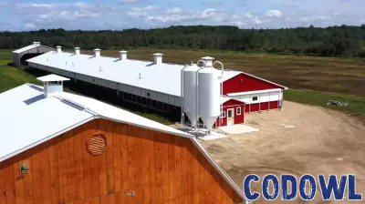 Revolutionizing Animal Agriculture: The Rise of Smart Bin Technology