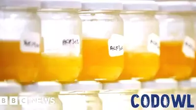 Why food fraud persists, even with improving tech